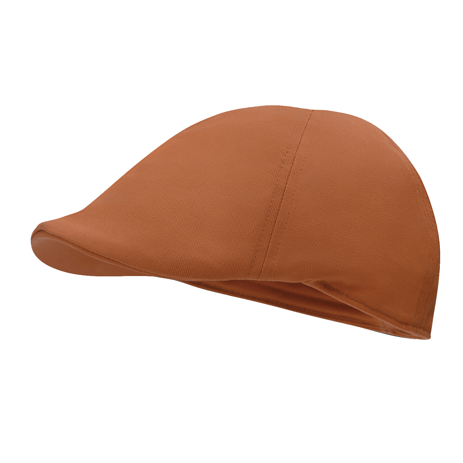 STARANCE Men's Classic Cotton  - Newsboy Cap Ivy recension och pris