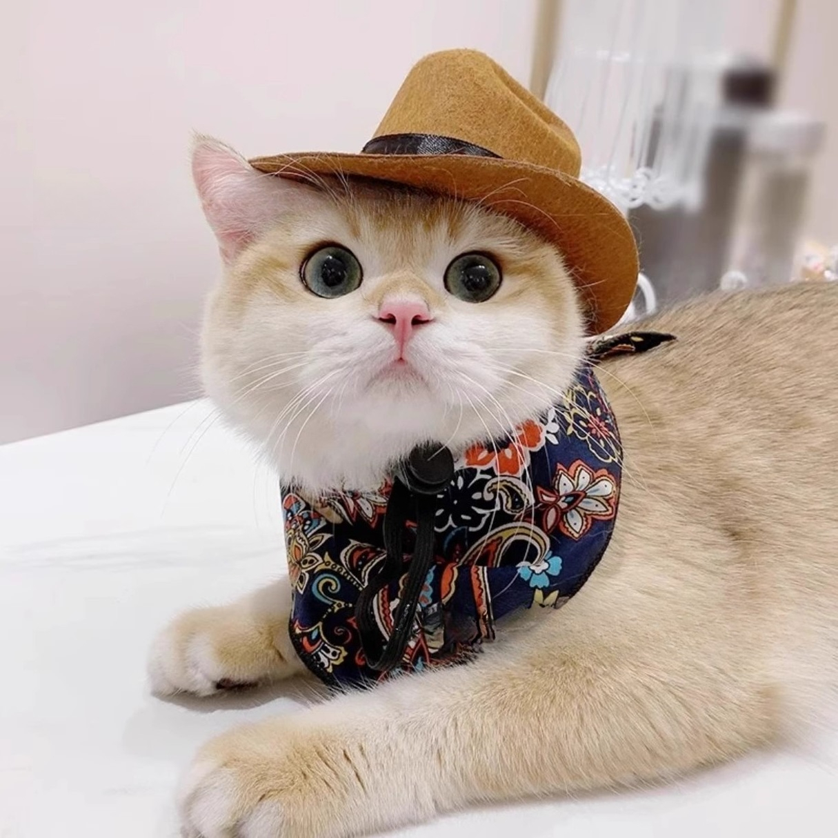  Cat Cowboy Hat Pet Head Acce - Cowboy Hat Straw recension och pris