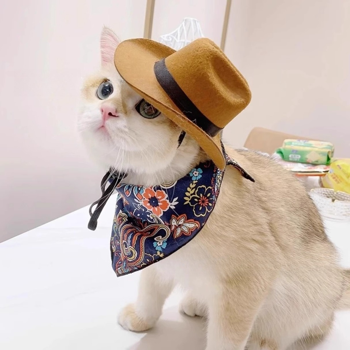  Cat Cowboy Hat Pet Head Acce - Cowboy Hat Straw recension och pris