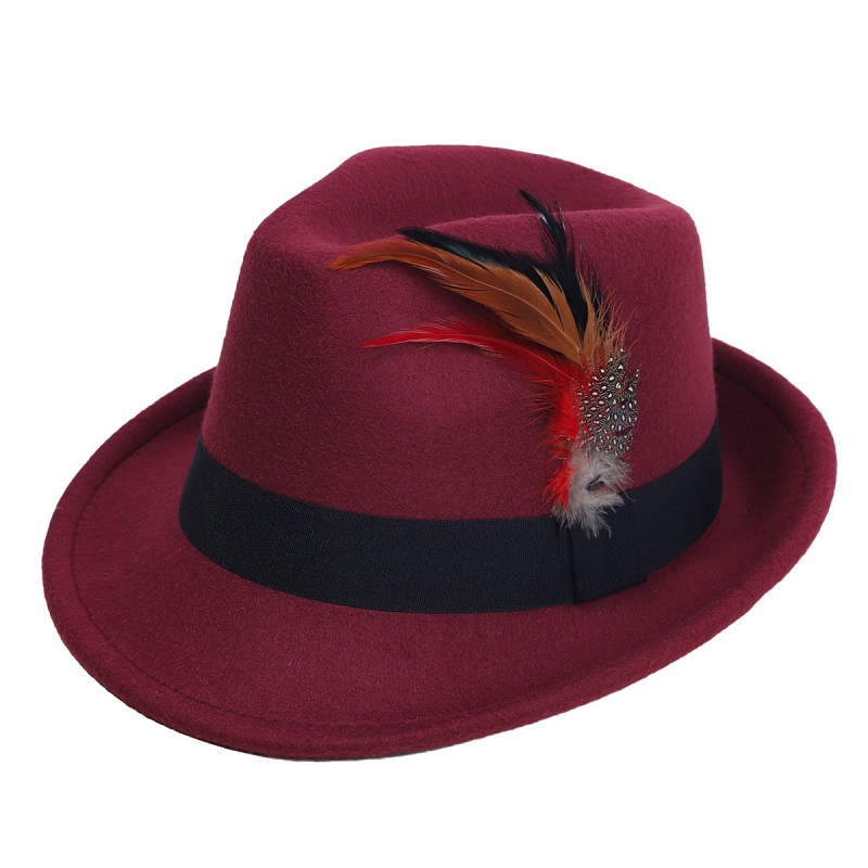 Hot-Selling Feather Top Hat Br - Fedora Hat Wool recension och pris